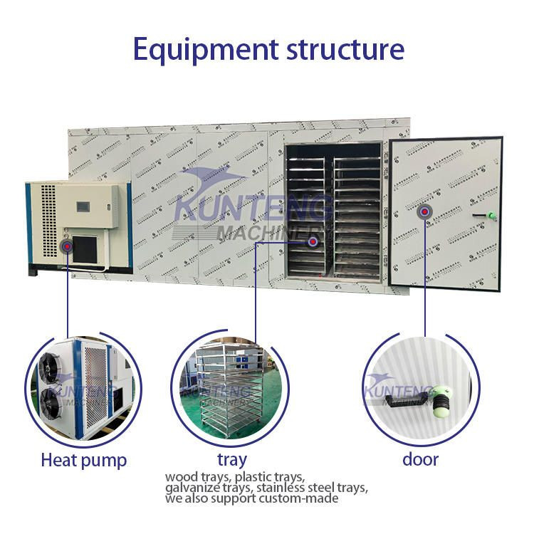 High Efficiency of Heat Pumps Fruit Green Plum Drying Machine Box Dryer Equipment for Vegetables & Fruit