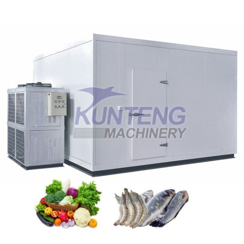 Industrial Automatic Insulation Panels Cold Room Storage Modular Cooler Freezer House for Fish Vegetable
