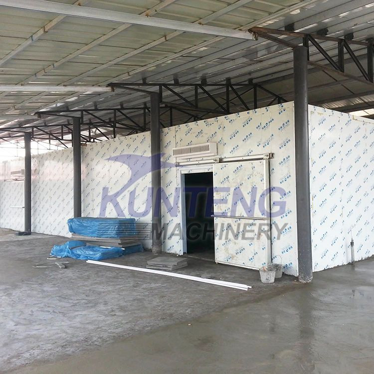 Industrial Automatic Insulation Panels Cold Room Storage Modular Cooler Freezer House for Fish Vegetable