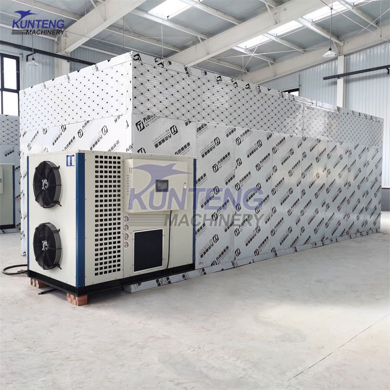Big Power Industrial Fruit Dehydrator Dryer Dried Fruit Production Equipment Dehydrated Fruit Processing Machine