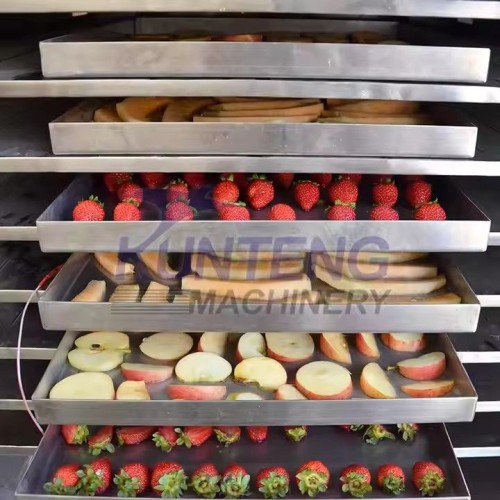 Industrial Fruit & Vegetable Food Vacuum Freeze Dryer Drying Machine Lyophilizer Equipment